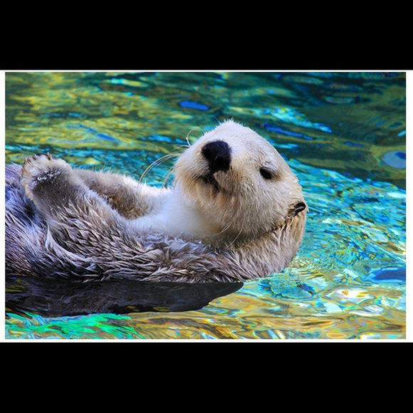 kirigami - Picture 12 of 12